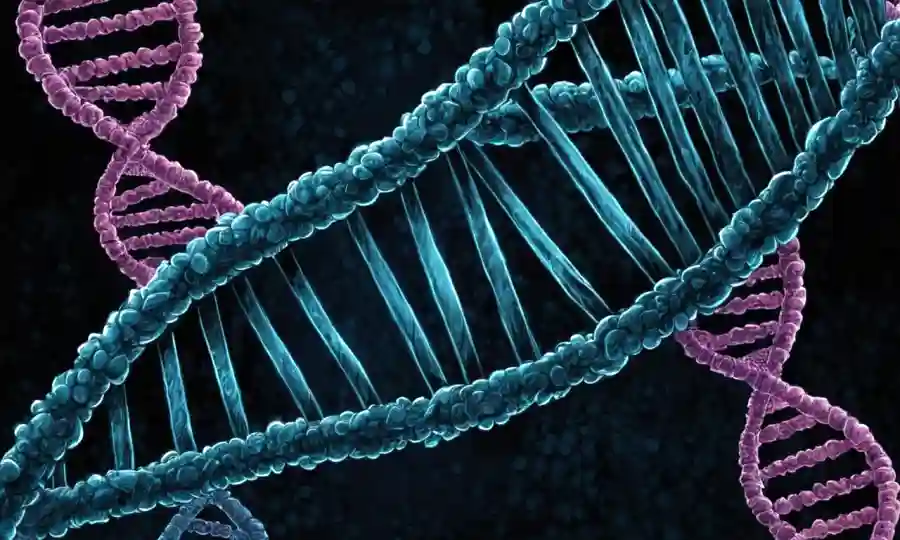 Una estructura de helix doble de ADN con una huella dactilar sobre ella, representando la conexión entre ADN e identificación personal.