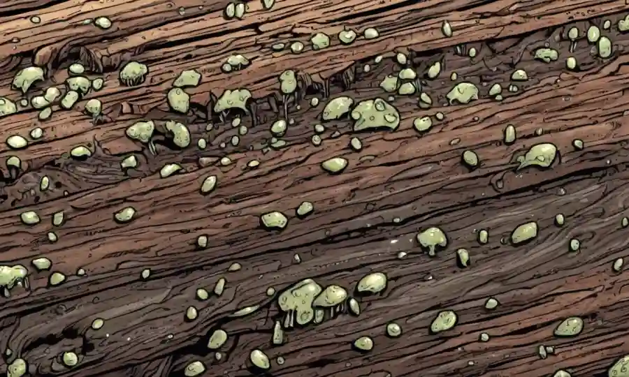 Un cierre de crecimientos fúngicos en madera o suelo con gotitas de agua.