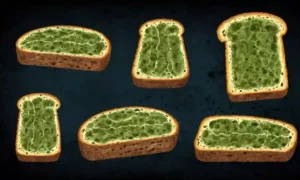 Las rodajas de pan moldeado se transforman en varias formas fúngicas en un fondo oscuro.